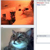 Meow
