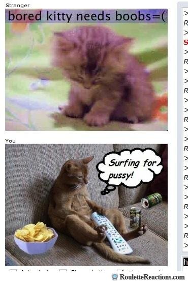 Kittys