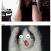 23471 - Roulette Reactions