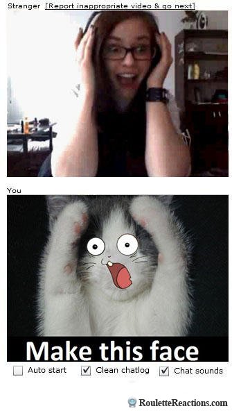 Kitty